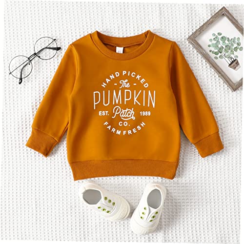Halloween Pumpkin Sweatshirt for Toddler Kids