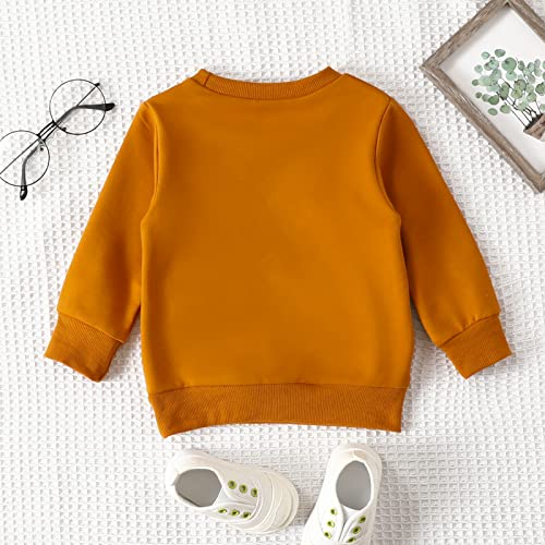 Halloween Pumpkin Sweatshirt for Toddler Kids