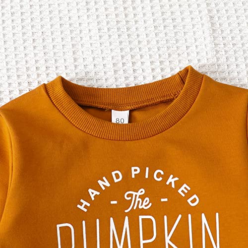 Halloween Pumpkin Sweatshirt for Toddler Kids