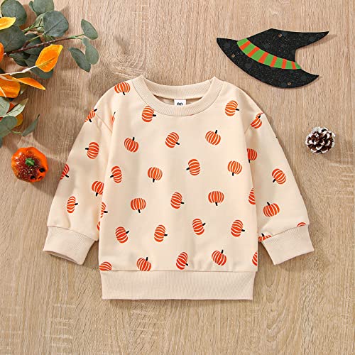 Cute Pumpkin Sweatshirt for Toddler Halloween Outfit