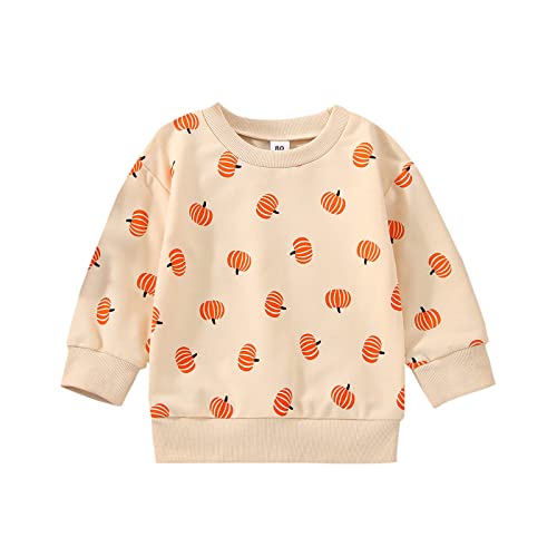 Cute Pumpkin Sweatshirt for Toddler Halloween Outfit