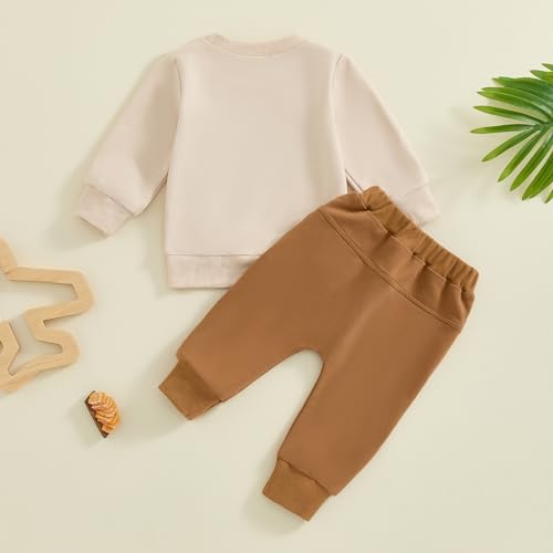 Color Block Toddler Sweatshirt and Pants Set