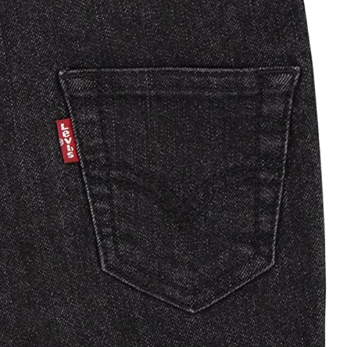 Levi's Baby Boys' Denim Overalls, 18 Months