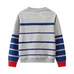 Boy's Graphic Crewneck Sweatshirt - Dino Design