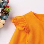 Thanksgiving Ruffle Sleeve Turkey Outfit for Toddlers