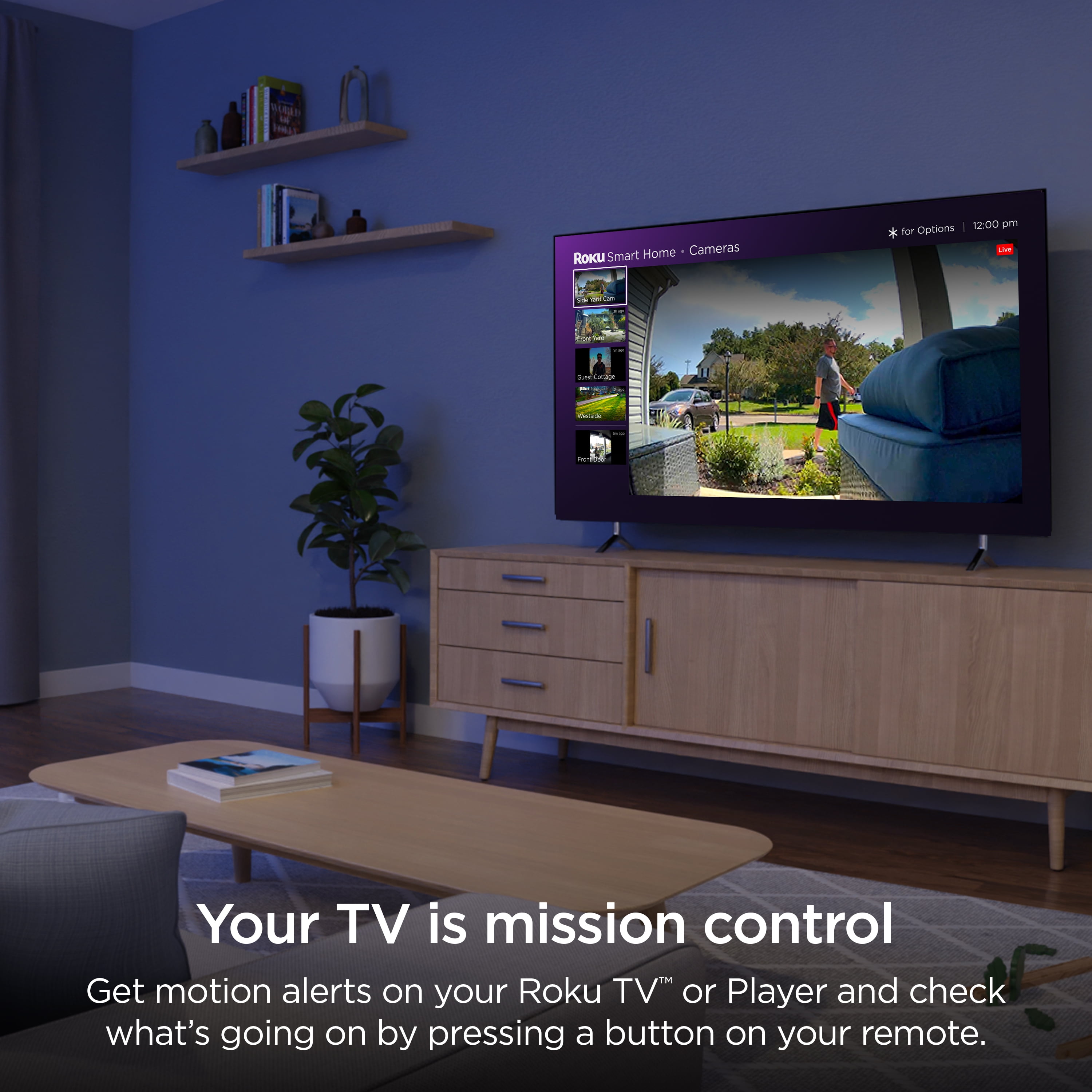Roku Smart Video Doorbell with Motion Detection