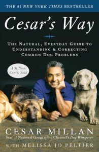 Cesar's Way: Natural Guide to Dog Behavior Solutions