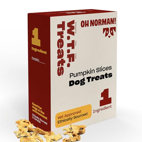 Oh Norman Pumpkin Dog Treats - Healthy & Natural