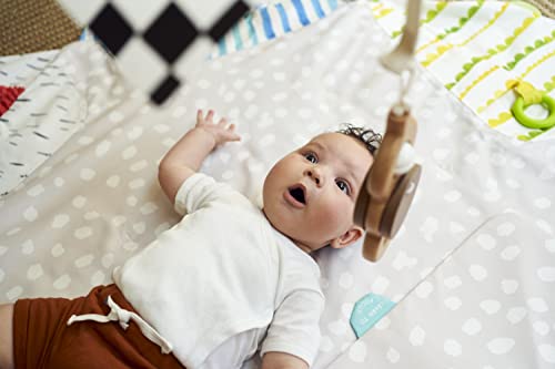 Lovevery Play Gym: Stage-Based Development for Baby