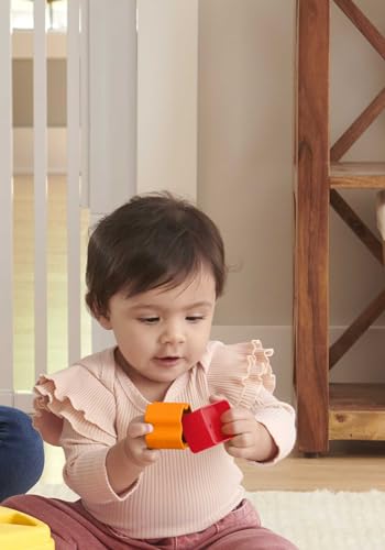 Fisher Price Toddler Toy Bundle Phone Puppy Blocks