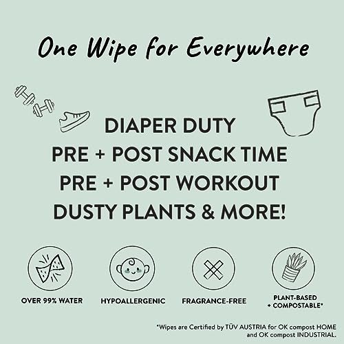 All-Natural Plant-Based Baby Wipes