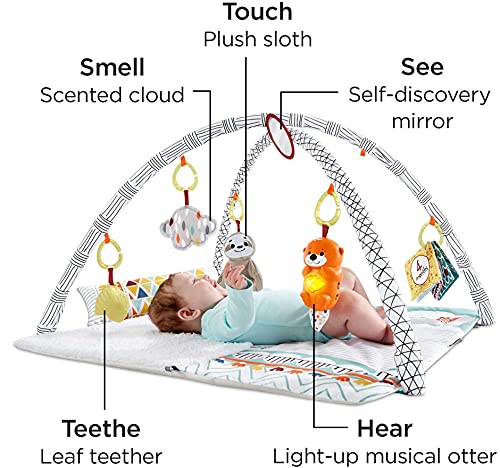 Fisher Price Deluxe Activity Gym Baby Play Mat
