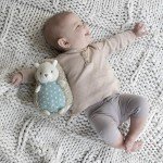 Soft Plush Squeak Toy - Farrow Hedgehog