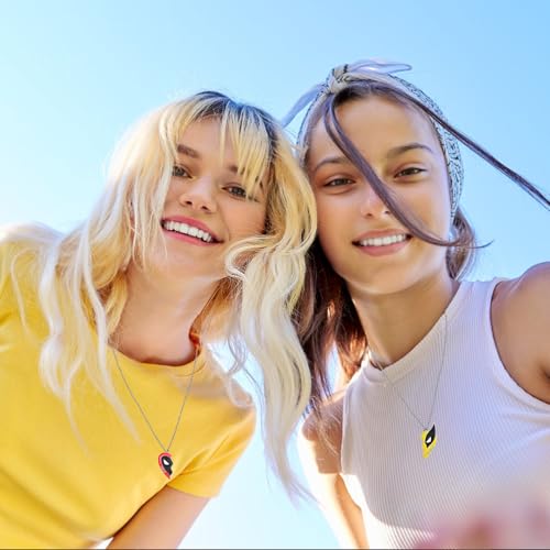 Deadpool & Wolverine Friendship Necklace Set