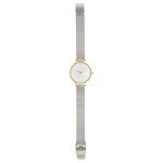 Skagen Women's Anita Lille Three-Hand Silver and Gold Two-Tone Stainless Steel Mesh Band Watch (Model: SKW2340)