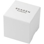 Skagen Women's Anita Lille Three-Hand Silver and Gold Two-Tone Stainless Steel Mesh Band Watch (Model: SKW2340)