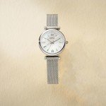 Fossil Women's Carlie Mini Quartz Stainless Steel Mesh Three-Hand Watch, Color: Silver (Model: ES4432)