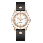 Rado Captain Cook Special Edition 37 mm