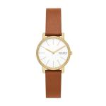 Skagen Women's Signatur Lille Two-Hand Gold Stainless Steel and Brown Leather Band Watch (Model: SKW3121)