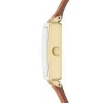 Skagen Women's Hagen Rectangular Three-Hand Gold Stainless Steel and Brown Leather Band Watch (Model: SKW3096)