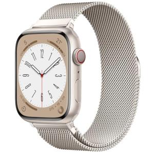 Stainless Steel Magnetic Loop for Apple Watch
