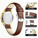 LN LENQIN Ladies Watches Analog Quartz Watch for Women Waterproof Women's Wrist Watches Easy Reader Womens Watch with Leather Strap (Dark Brown Gold White)