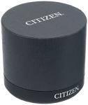 Citizen Quartz Womens Watch, Stainless Steel, Classic, Two-Tone (Model: EQ2004-95A)