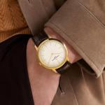 Danxancy Genuine Leather Watch Bands,Quick Release Italian Alligator Grain Calfskin Genuine Leather,Business Casual Universal Watch Strap Replacement Band Strap for Men Women（12mm to 24mm）