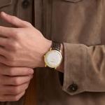 Danxancy Genuine Leather Watch Bands,Quick Release Italian Alligator Grain Calfskin Genuine Leather,Business Casual Universal Watch Strap Replacement Band Strap for Men Women（12mm to 24mm）