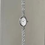 CARLIEN Fashion Vintage Gold Oval Quartz Watches for Women - Alloy Steel Band Slim Bracelet- - Roman Numerals Numbers - Dainty Elegant Dress Wristwatch Waterproof (Silver White)