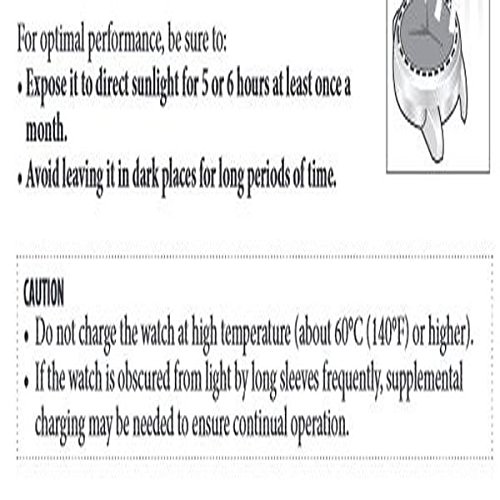 Citizen Eco-Drive Promaster Sea Depth Meter Watch