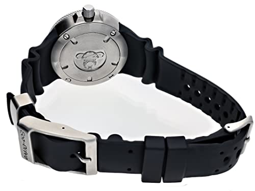 Citizen Eco-Drive Promaster Sea Dive Watch