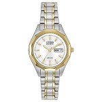 Citizen Eco-Drive Two-Tone Stainless Steel Watch
