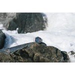 Citizen Promaster Sea Eco-Drive Men's Stainless Steel Watch