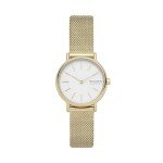 Skagen Women’s Gold Mesh Band Watch - SKW2693