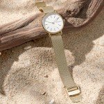 Skagen Women’s Gold Mesh Band Watch - SKW2693