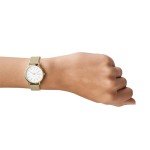 Skagen Women’s Gold Mesh Band Watch - SKW2693