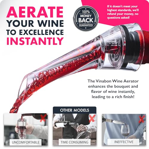 2-in-1 Professional Wine Aerator Pourer Spout