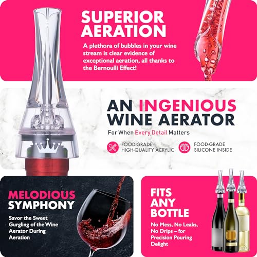 2-in-1 Professional Wine Aerator Pourer Spout