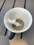Stretching Cat Mug with Hidden Animal Surprise