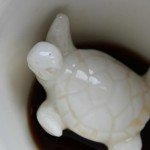 Turtle Cup with Hidden Animal Surprise