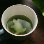 Turtle Cup with Hidden Animal Surprise