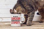 Sarcastic Coffee Mug: My Level of Sarcasm