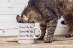 I Love My Job: Funny Coffee Mug for Office