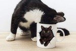 Funny Black Cat Mug - Purr-fect Gift