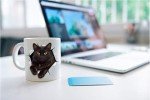 Funny Black Cat Mug - Purr-fect Gift