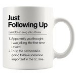 Just Following Up Boss Mug – Sarcastic Office Gift