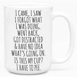 I Came, I Saw, I Forgot Mug