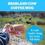 BigMouth Cute Ceramic Highland Cow Coffee Mug, Country Farmhouse Kitchen Cup, Gifts for Animal Lovers