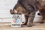 CBTwear It's Ok I'm on 500mg of Fukitol, Funny Inspirational Sarcasm Coffee Mug, Office Desk Decor For Women, Men, Sister, Brother, Friend and Coworker - 11oz